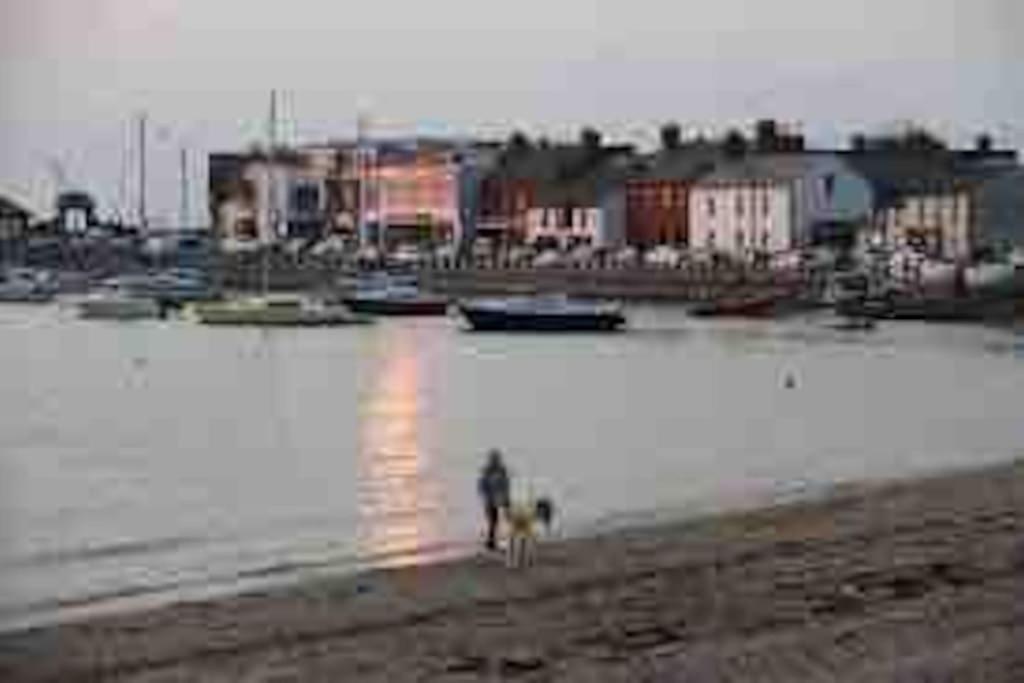 Seaview Terrace Lejlighed Skerries Eksteriør billede